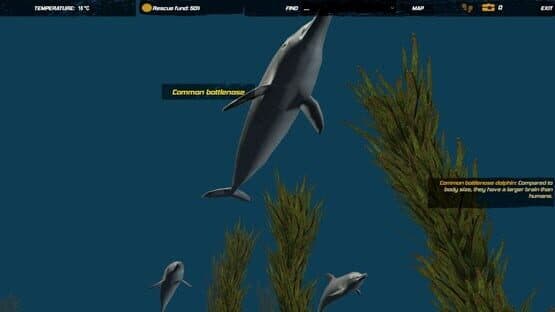 Galvatia — screenshot 3