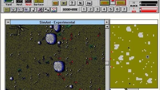 SimAnt — screenshot 2