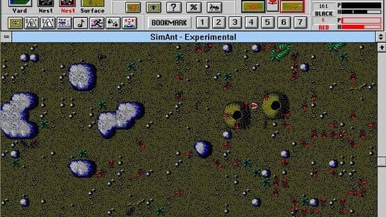SimAnt — screenshot 6