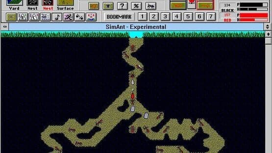 SimAnt — screenshot 7