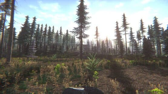 Mushroom Challenge — screenshot 5