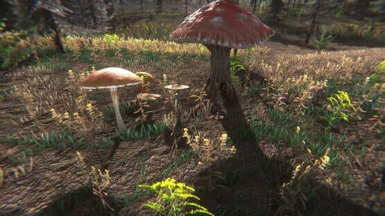 Mushroom Challenge — screenshot 8