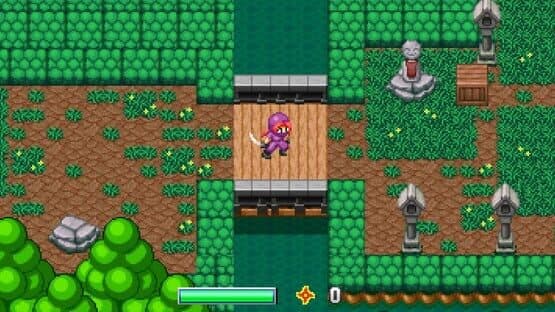 Ninja Kunoichi — screenshot 1