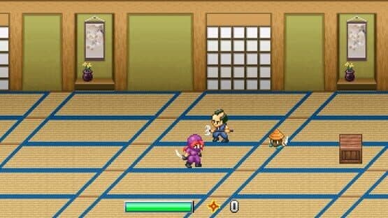 Ninja Kunoichi — screenshot 2