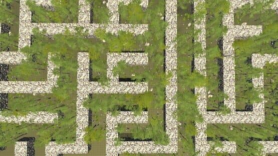 The Maze — screenshot 1