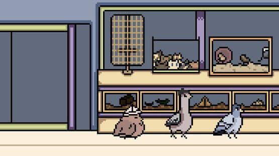 Three Pigeons in a Trench Coat — screenshot 5
