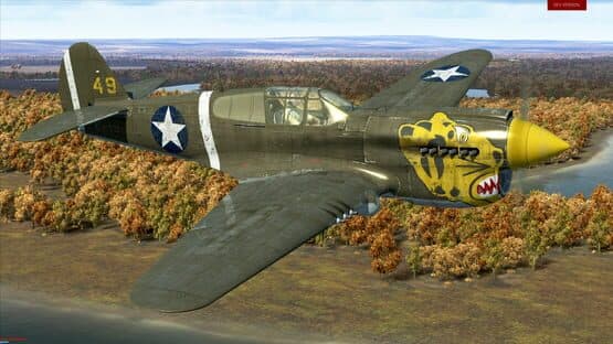 IL-2 Sturmovik: Battle of Stalingrad - P-40E-1 Collector Plane — screenshot 1