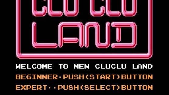 Clu Clu Land D — screenshot 1