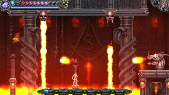 Dire Vengeance — screenshot 3