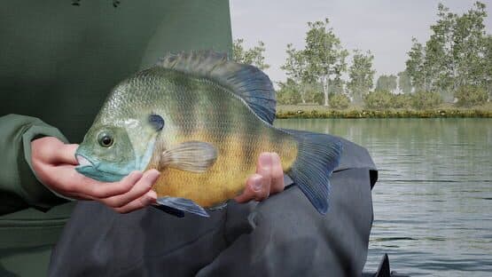 Fishing Sim World: Pro Tour - Lake Williams — screenshot 5