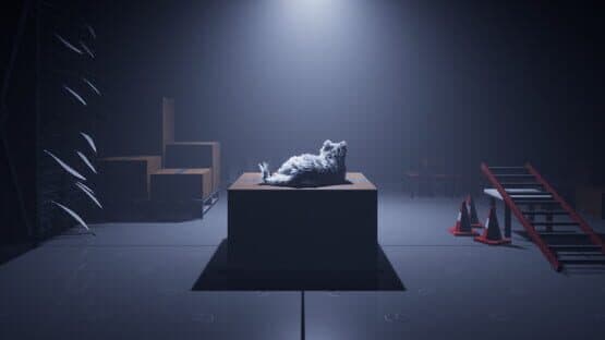 Follow The Cat — screenshot 1
