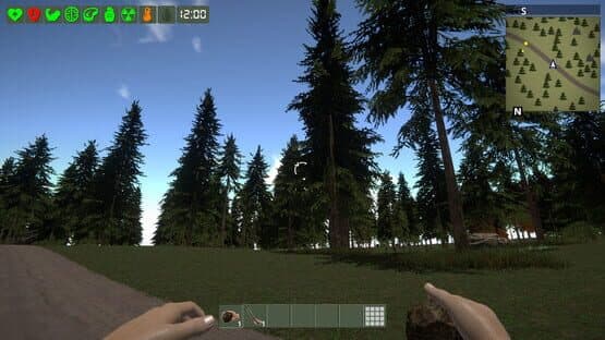 The Survivor — screenshot 1