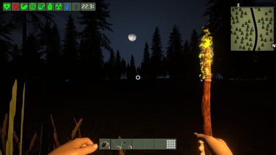 The Survivor — screenshot 2