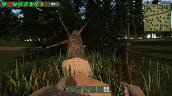 The Survivor — screenshot 3