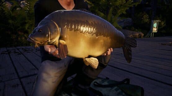 Euro Fishing: Waldsee — screenshot 3