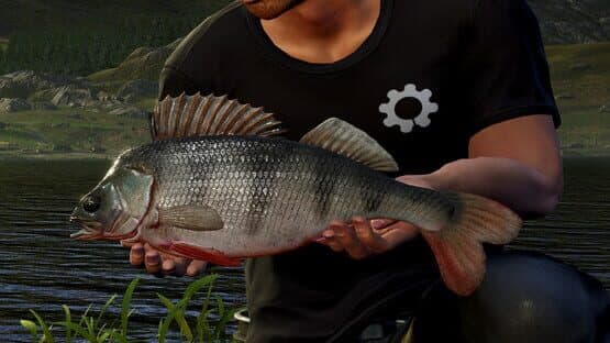 Euro Fishing: Bergsee — screenshot 5