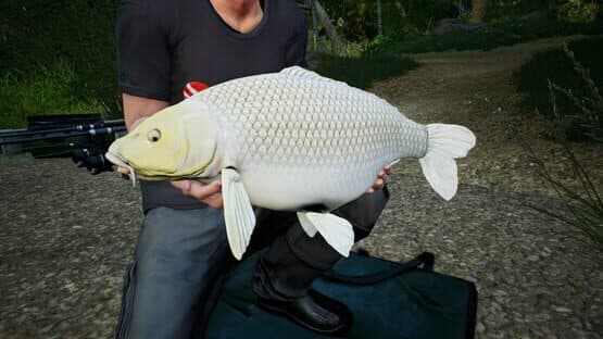 Euro Fishing: Hunters Lake — screenshot 5
