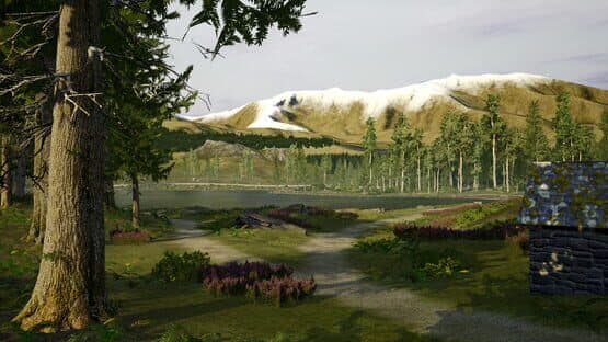 Euro Fishing: Bergsee — screenshot 8