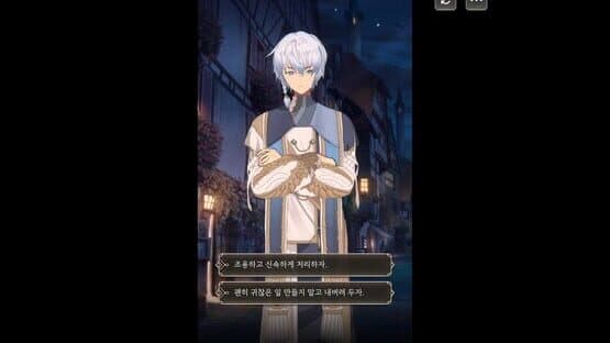 The Reason Why Raeliana Ended up at the Duke's Mansion: Heika's Colorful Day Out — screenshot 5