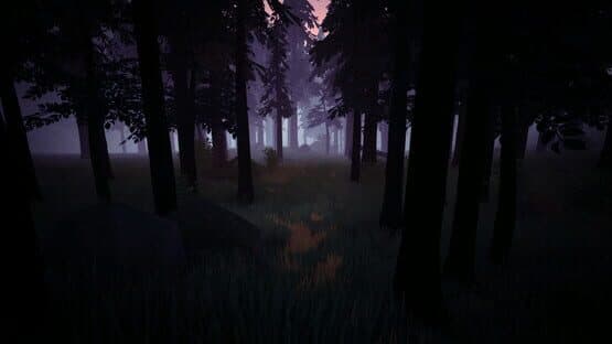 Radiolight — screenshot 3