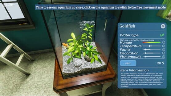Aquarist: My First Job — screenshot 2