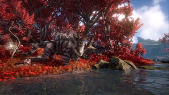 Dark and Light: Shard of Faith — screenshot 4