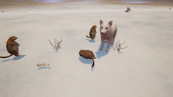 Tyto Ecology: Alaskan Tundra Ecosystem — screenshot 4