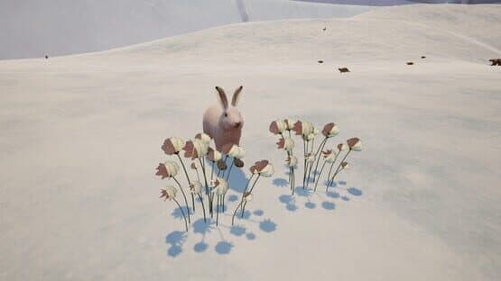 Tyto Ecology: Alaskan Tundra Ecosystem — screenshot 8