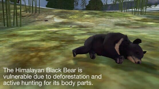 Tyto Ecology: Himalayas Ecosystem — screenshot 5