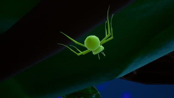 Ant Simulator — screenshot 3