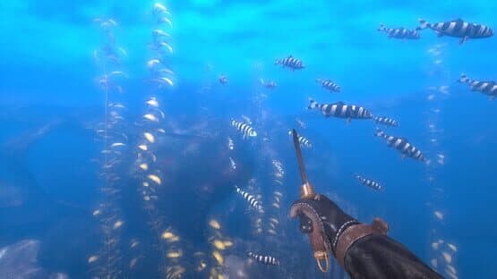 Depth: Wilhelm Diver — screenshot 3