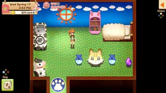 Harvest Moon: Light of Hope - Special Edition: Doc's & Melanie's Special Episodes — screenshot 2