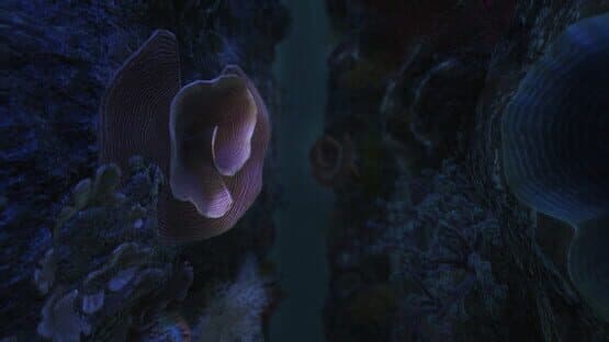20,000 Miles Under the Sea — screenshot 5