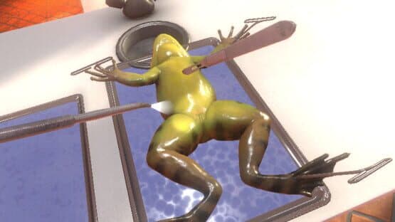Dissection Simulator: Frog Edition — screenshot 2