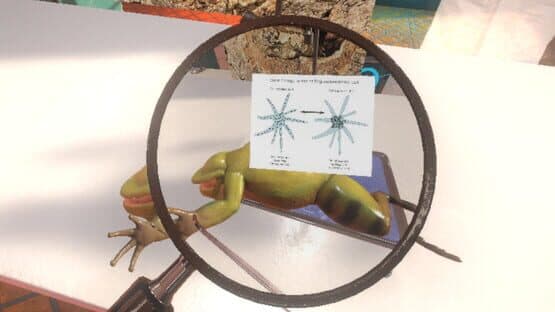 Dissection Simulator: Frog Edition — screenshot 5