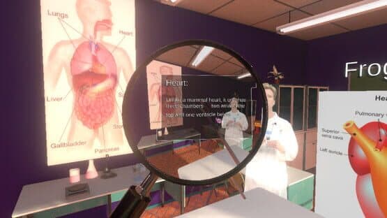 Dissection Simulator: Frog Edition — screenshot 6
