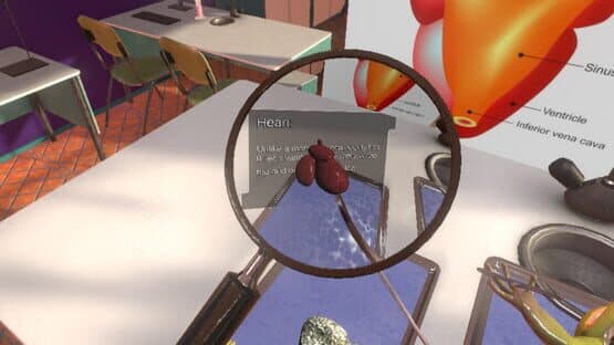 Dissection Simulator: Frog Edition — screenshot 7