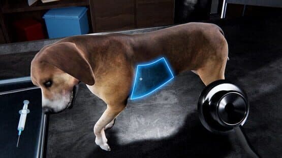 Veterinary Clinic Simulator — screenshot 2