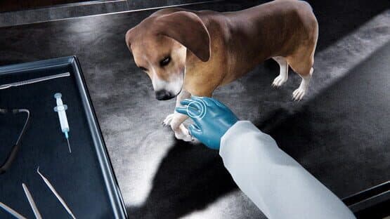 Veterinary Clinic Simulator — screenshot 4