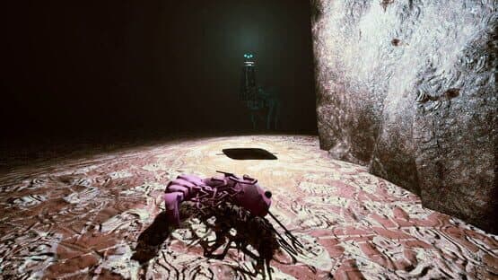 Shrimp — screenshot 8