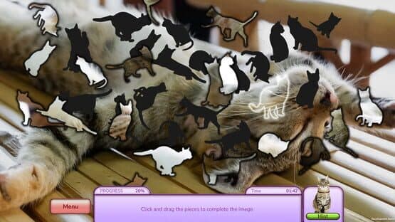 I Love Finding Cats — screenshot 3