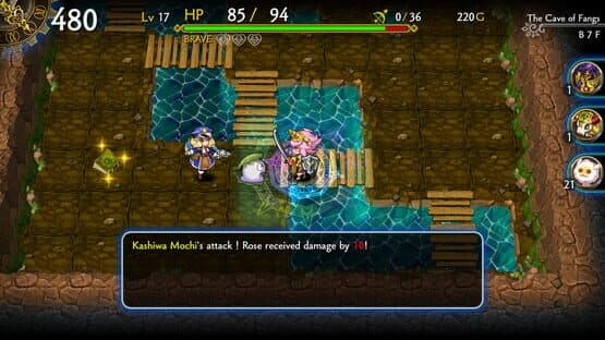 Dragon Fang Z: The Rose & Dungeon of Time - Extra Dungeon: The Cave of Fangs — screenshot 5