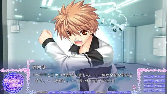 Rewrite Harvest festa! — screenshot 3