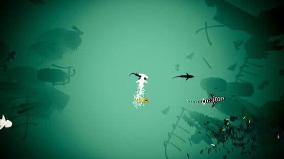 Shoal — screenshot 6