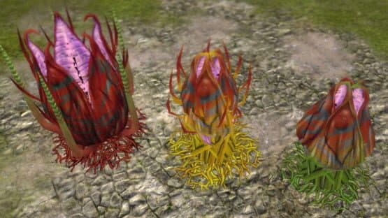 Defenders of Ardania: The Conjurer's Tricks — screenshot 3