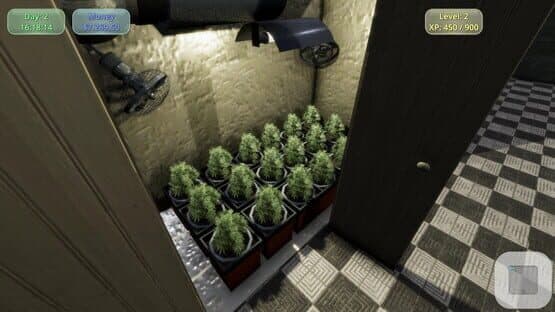 Medicinal Herbs: Cannabis Grow Simulator — screenshot 2