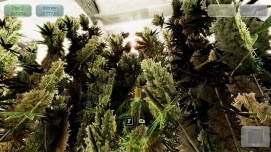 Medicinal Herbs: Cannabis Grow Simulator — screenshot 5