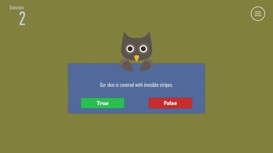 True or False: Owl Rescue — screenshot 1
