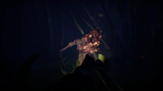 Try to Survive! — screenshot 3