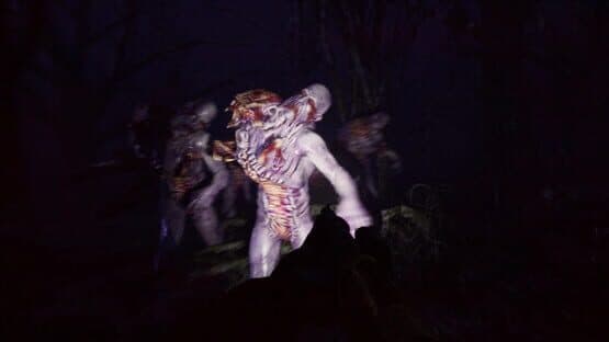 Try to Survive! — screenshot 6